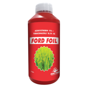 FORD FOIL