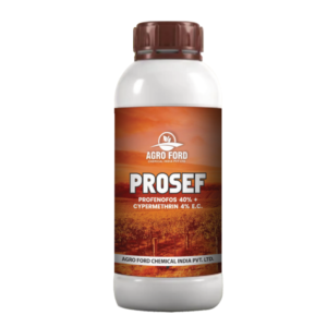 PROSEF